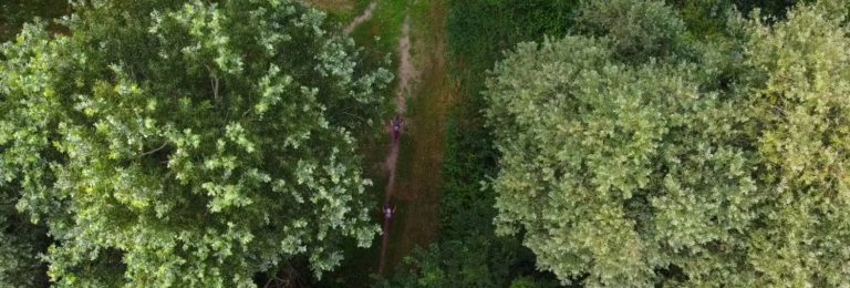 Bike Tribe Mtb Trail: il Video!
