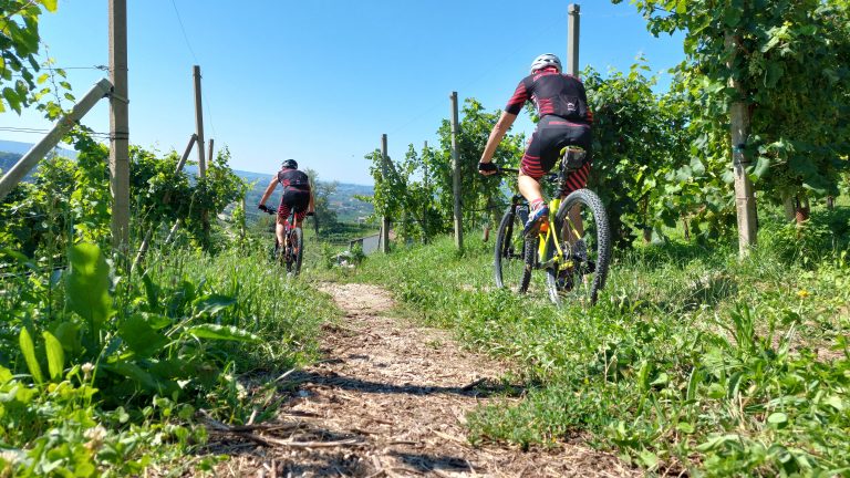 Itinerario Montello Cartizze