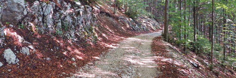 Il Cansiglio in mountain bike