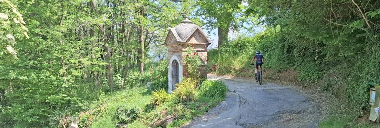 Itinerari di primavera: Montello 22
